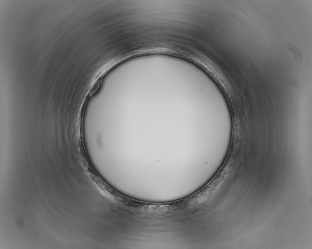 X0000110980858200907101408