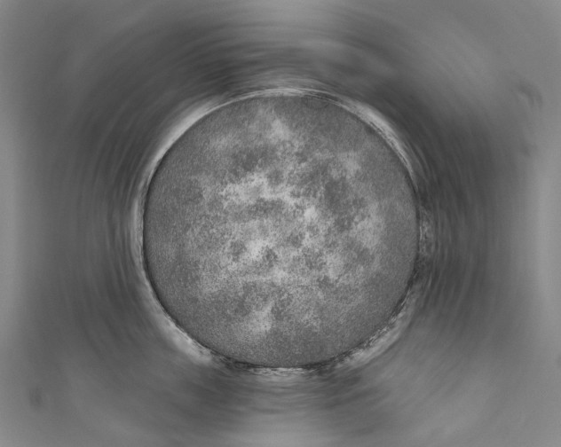 X0000110980859200907101408