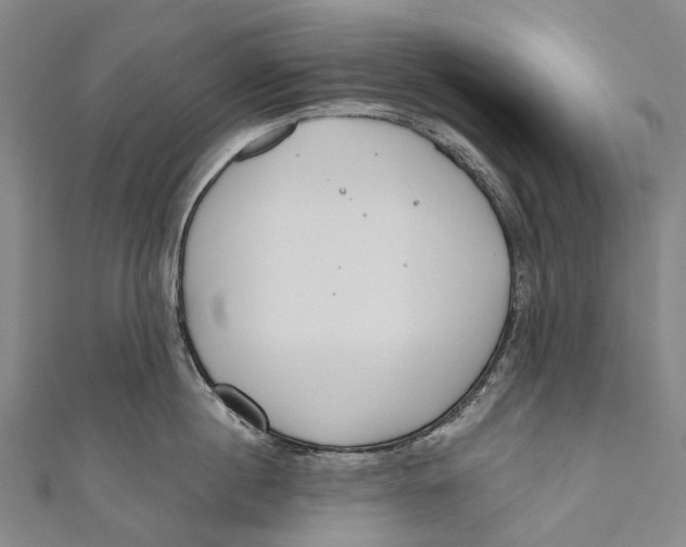 X0000110980860200907101408