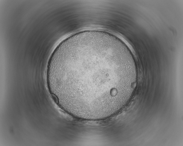 X0000110980861200907101408