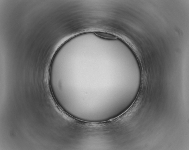 X0000110980862200907101408