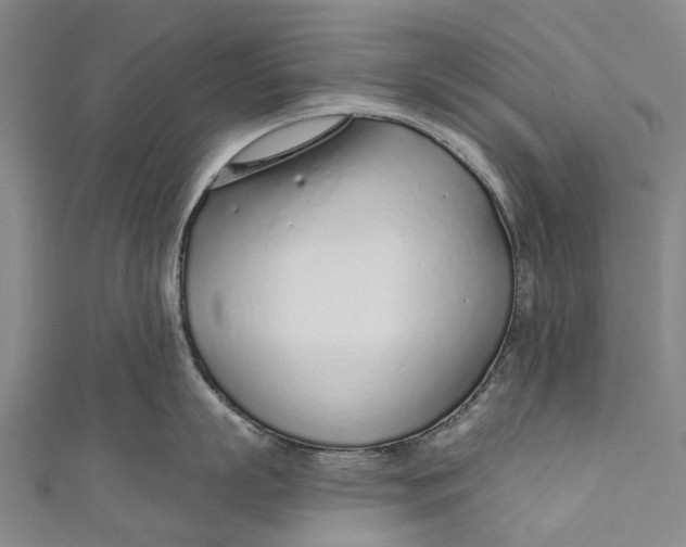 X0000110980863200907101408