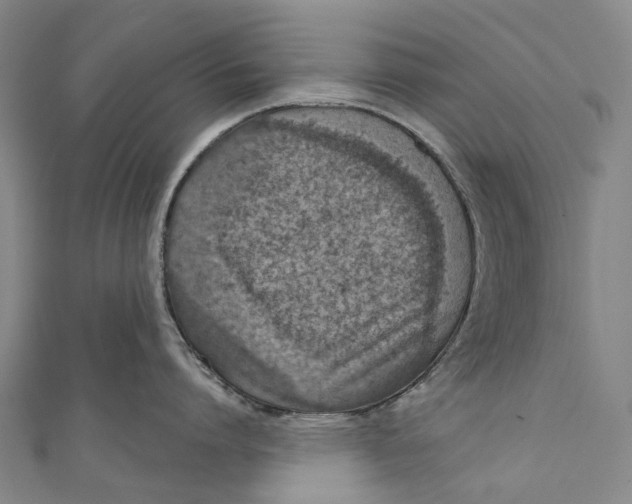 X0000110980864200907101408