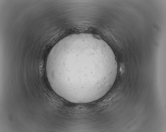 X0000110980867200907101408