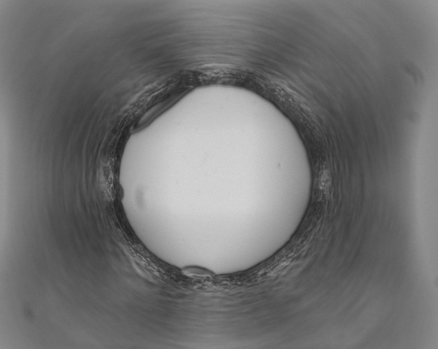 X0000110980868200907101408