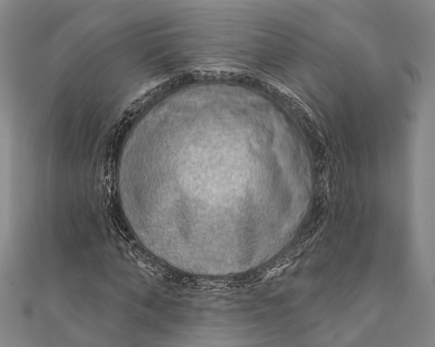 X0000110980870200907101408