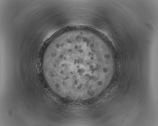 X0000110980871200907101408