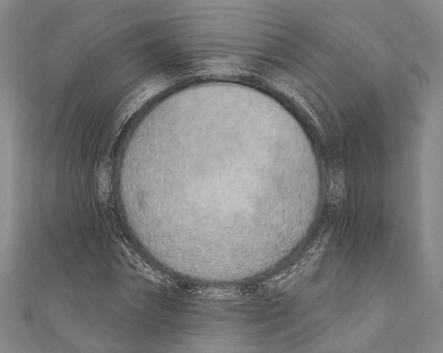 X0000110980874200907101408