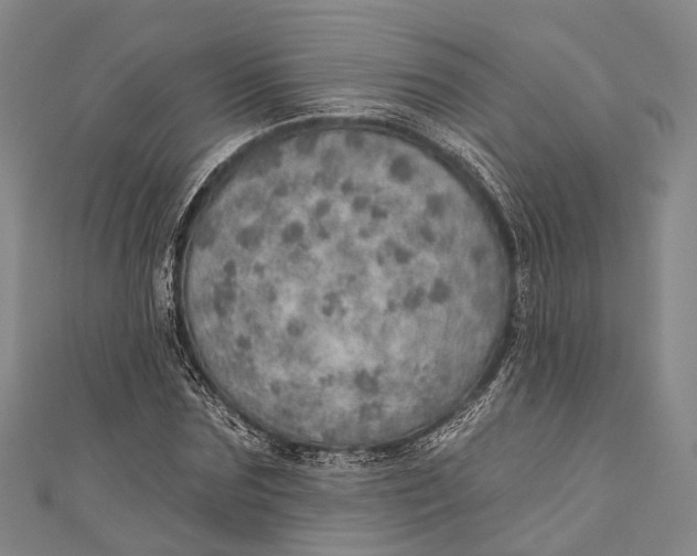 X0000110980875200907101408