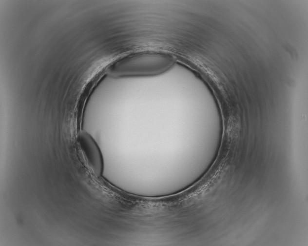 X0000110980877200907101408