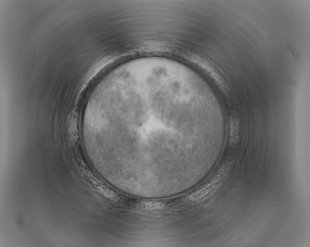 X0000110980878200907101408