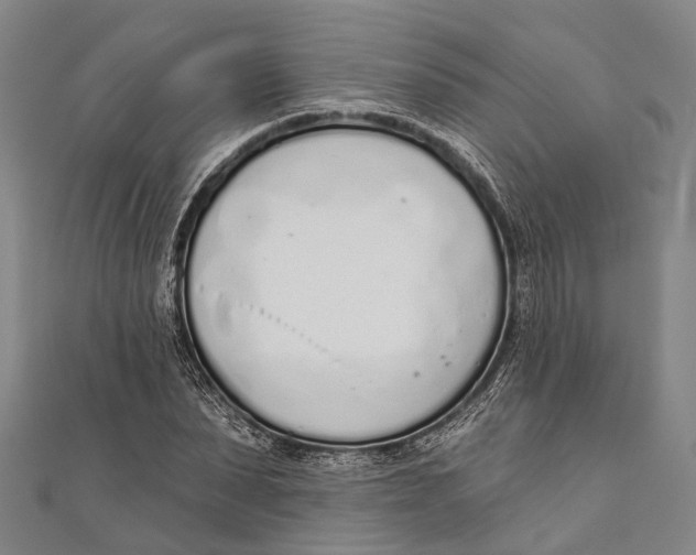 X0000110980879200907101407