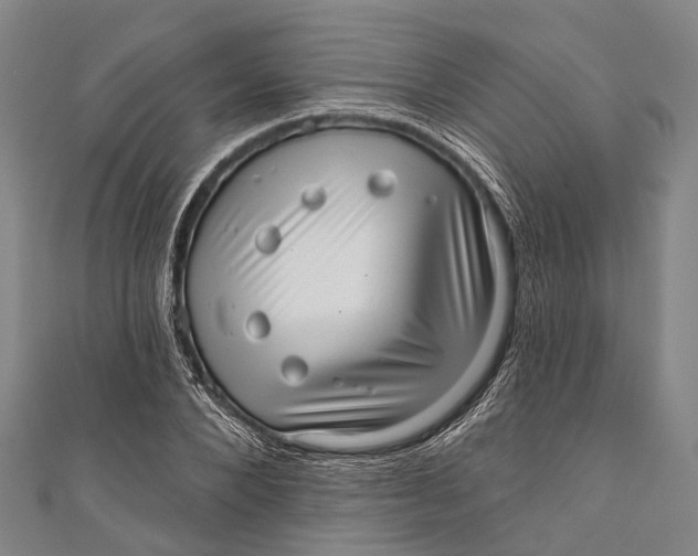 X0000110980880200907101407