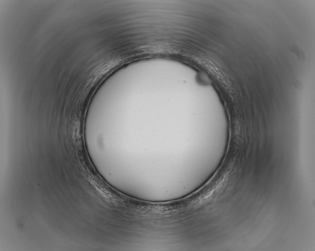 X0000110980881200907101407