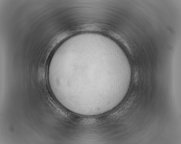 X0000110980882200907101407