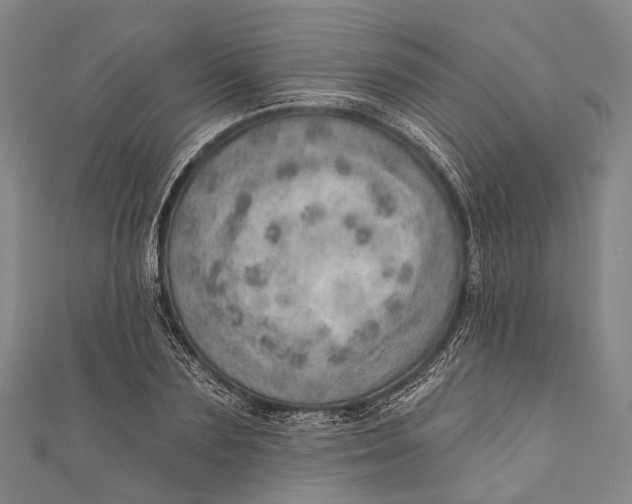 X0000110980883200907101407