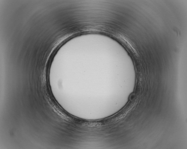 X0000110980884200907101407