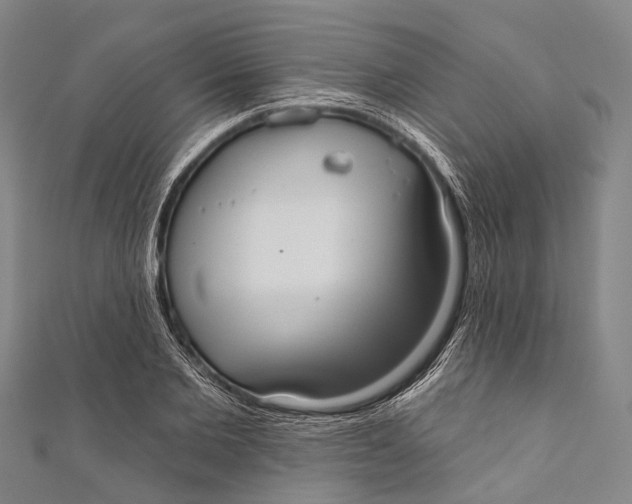 X0000110980885200907101407