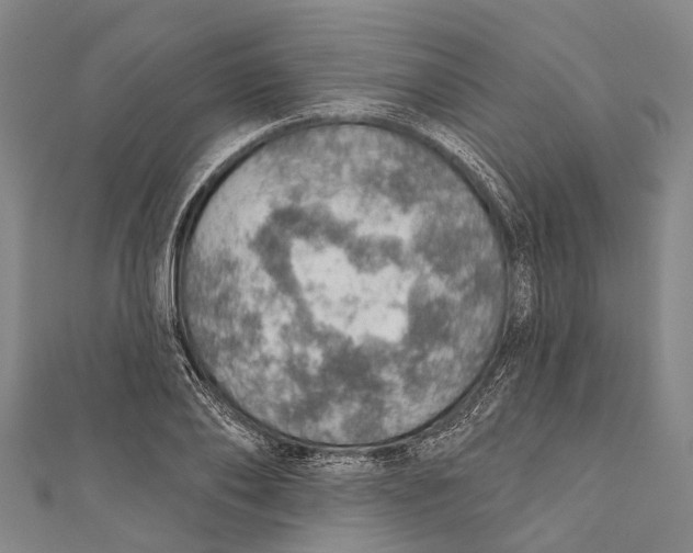 X0000110980886200907101407