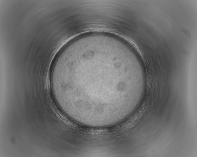 X0000110980887200907101407