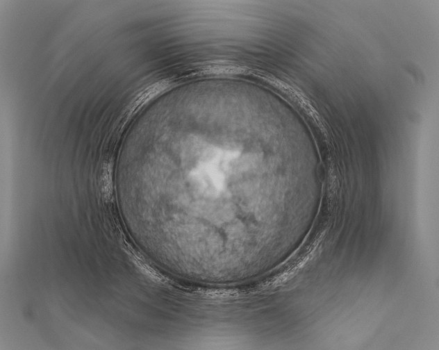 X0000110980889200907101407