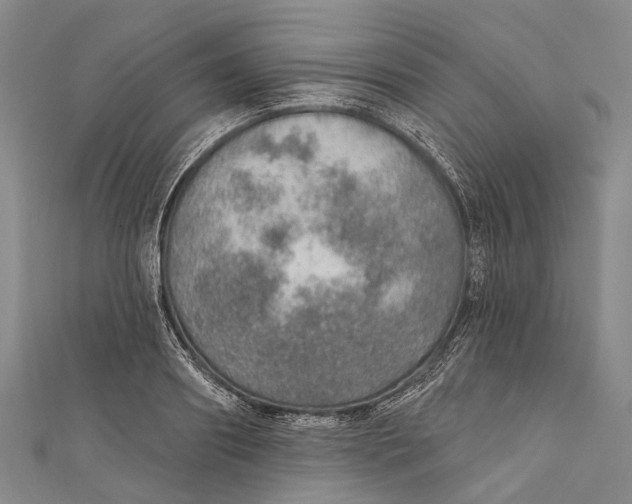 X0000110980890200907101407