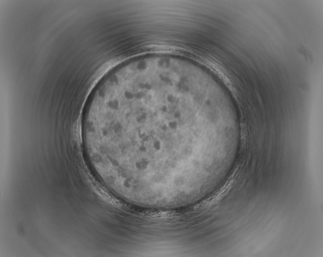 X0000110980891200907101407