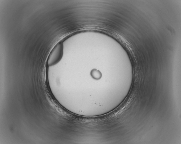 X0000110980892200907101407