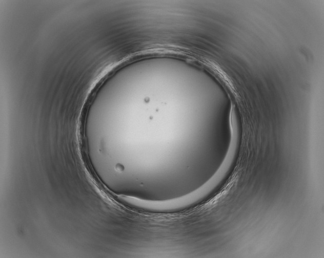 X0000110980893200907101407