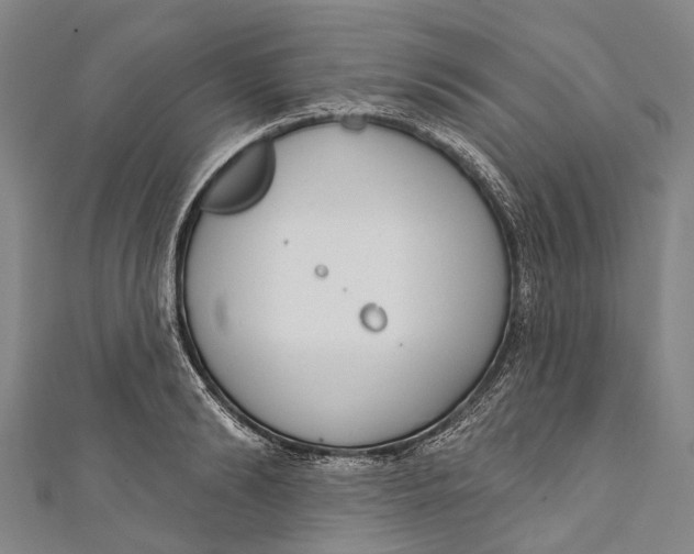 X0000110980894200907101407