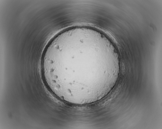 X0000110980895200907101407