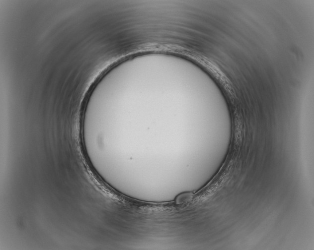 X0000110980896200907101407