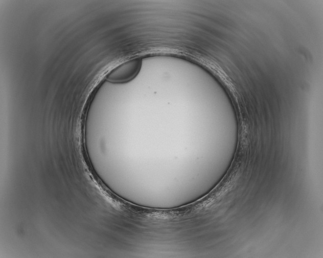 X0000110980898200907101407