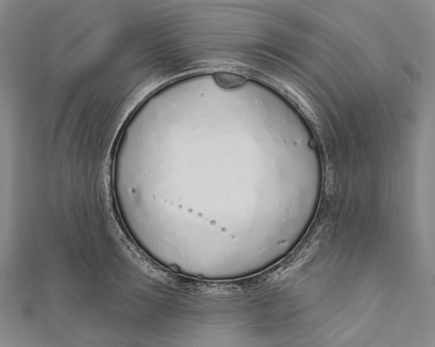 X0000110980899200907101407