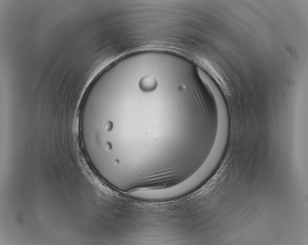 X0000110980900200907101407