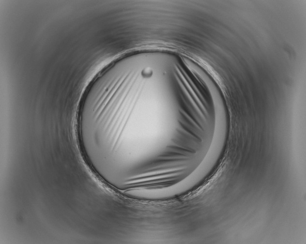 X0000110980901200907101407