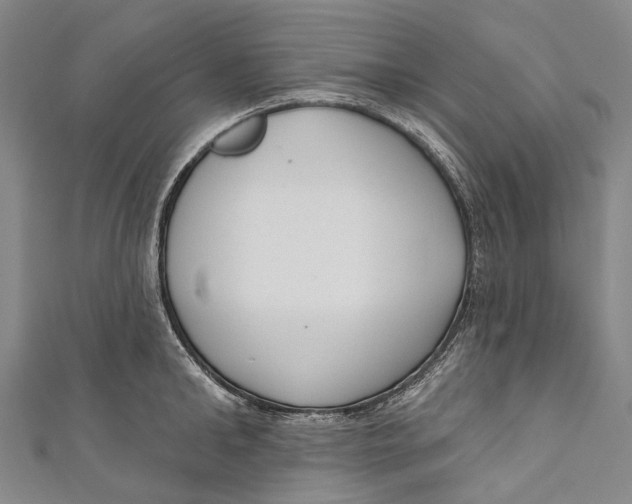 X0000110980902200907101407