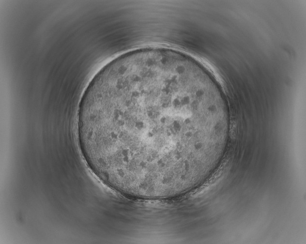 X0000110980903200907101407