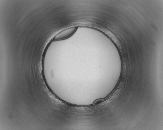 X0000110980904200907101407