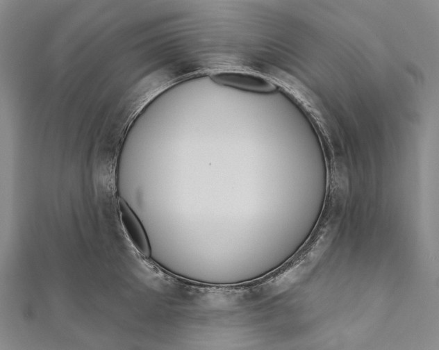 X0000110980905200907101407