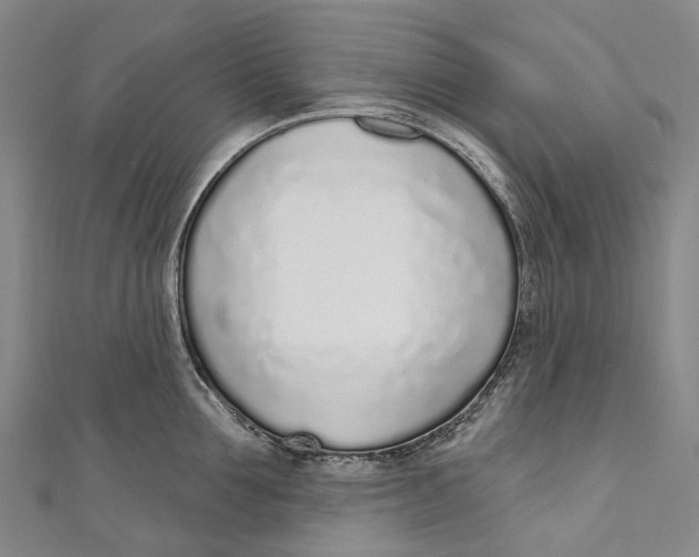 X0000110980907200907101407