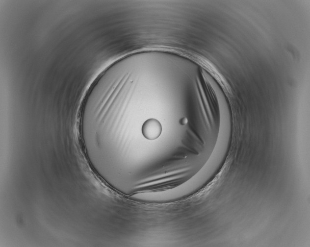 X0000110980908200907101407