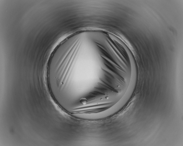 X0000110980909200907101407