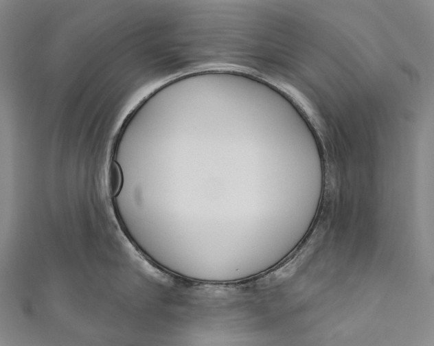 X0000110980910200907101407