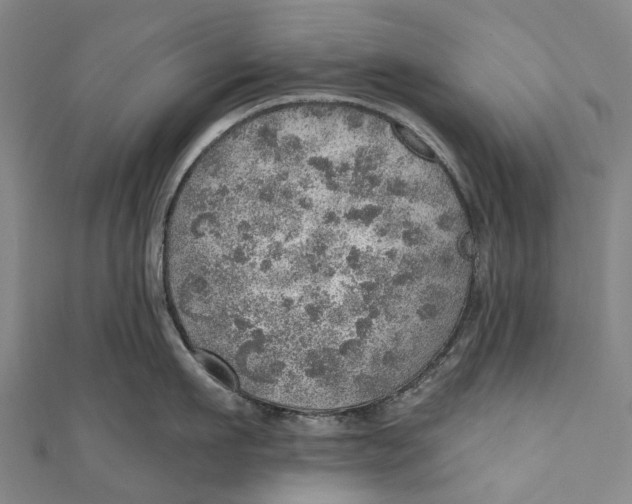 X0000110980911200907101407