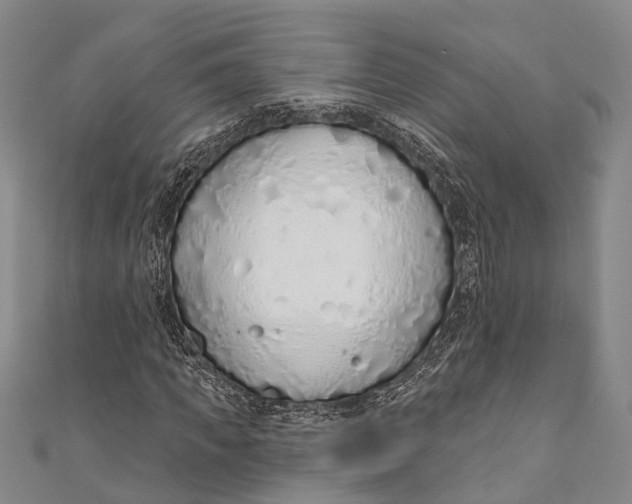 X0000110980917200907101406