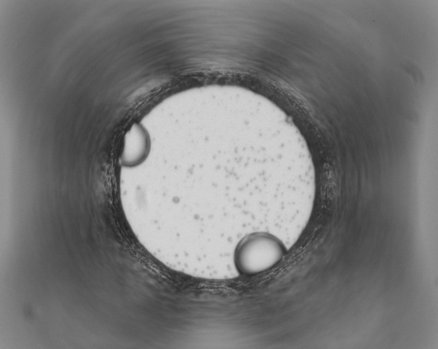 X0000110980918200907101406