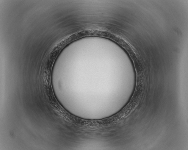 X0000110980919200907101406