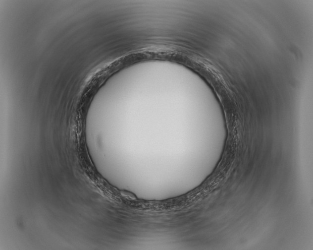 X0000110980920200907101406