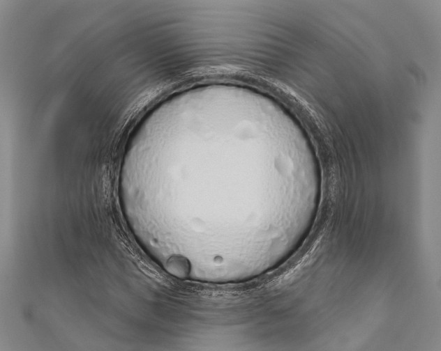 X0000110980921200907101406